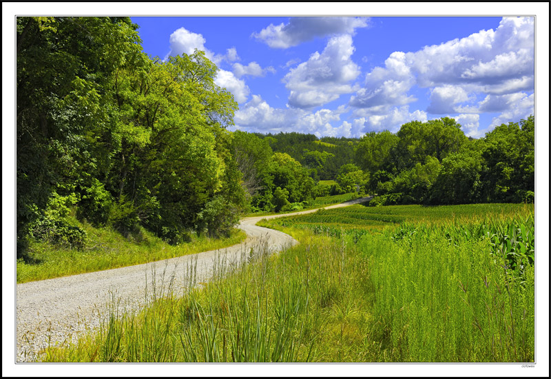 Wandering Lane