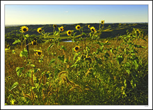 Loess Hills Sundance