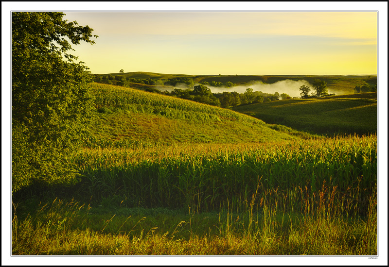 Rolling Hills And Misty Valleys