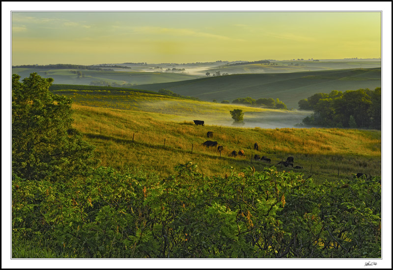 Misty Valley