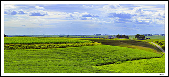 Sunlit Steppes