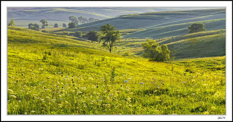 Valley Shadows