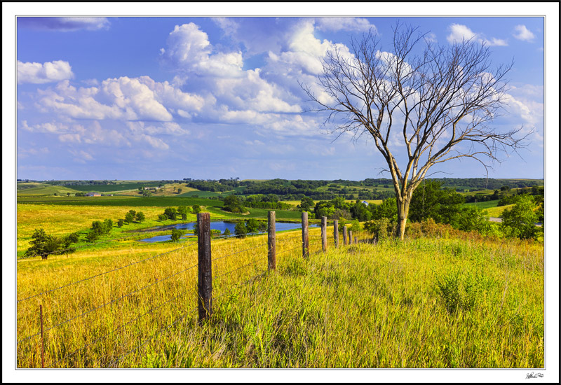 Pastoral Skies