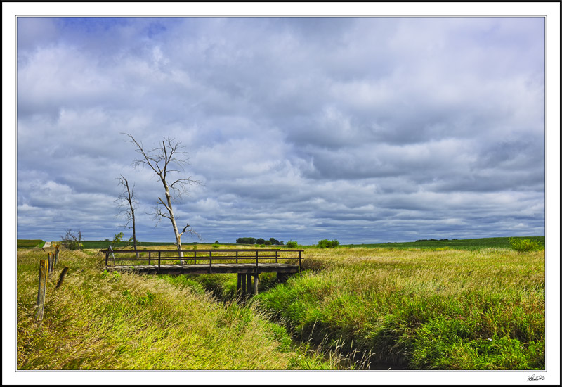 Luxuriant Fields II