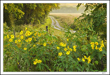 Off-Road Trail To Little Sioux
