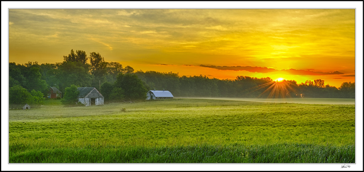 Tranquil Fields