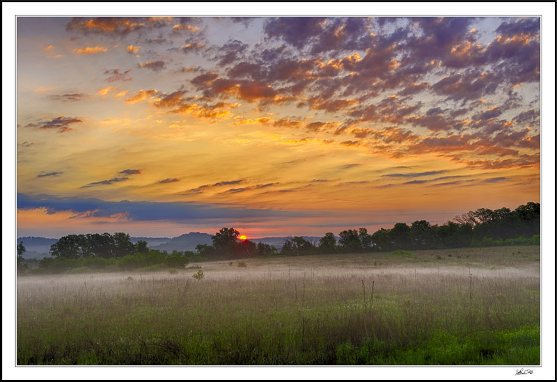 Misty Stream,  Prairie Grasses