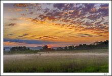 Misty Stream,  Prairie Grasses
