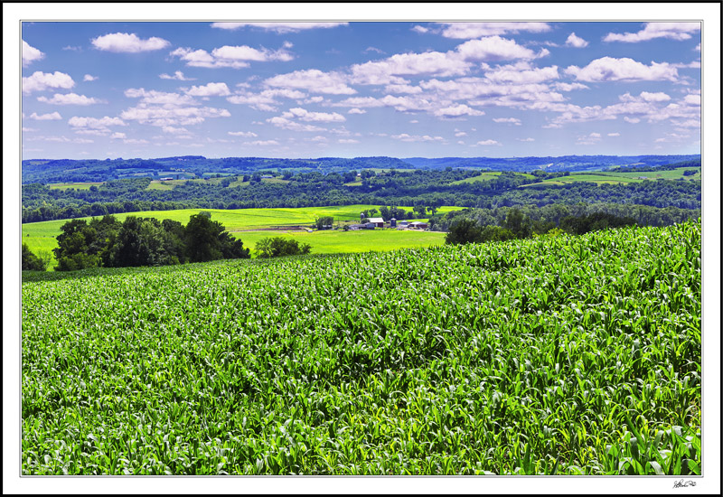 I had to go to France to appreciate Iowa.' - Grant Wood
