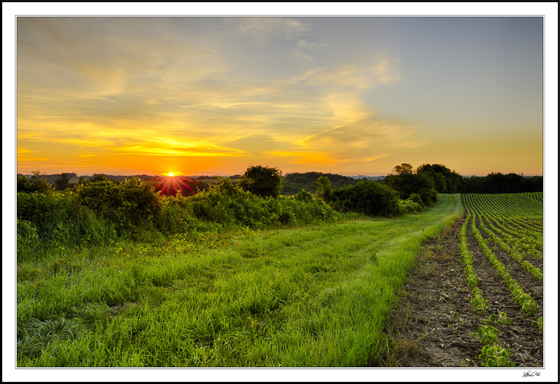 Glisten The Farm Lane
