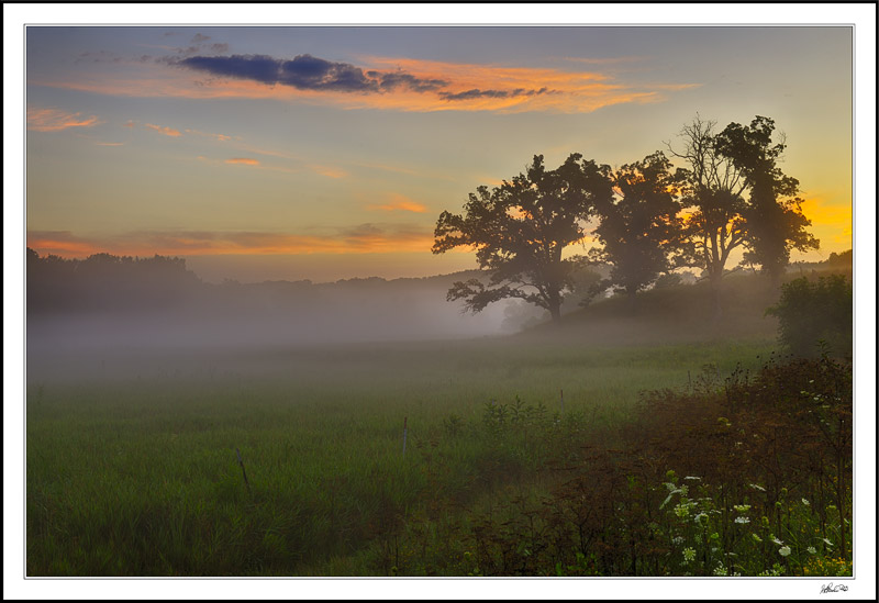 Morning Mists At Coal Creek
