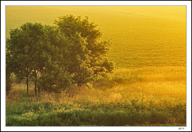 Sunrise Mists Aglow
