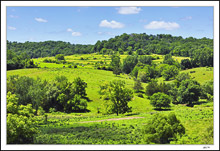 Rolling Hills, Rolled Hay
