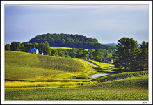 I had to go to France to appreciate Iowa.' - Grant Wood
