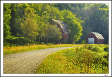 Along Dry Hollow Creek 
