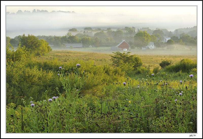 Wadena Misty Morning I