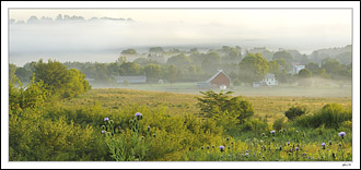 Wadena Misty Morning II