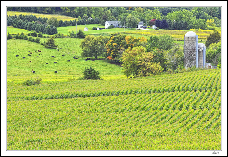 Late Summer Crop Vista I