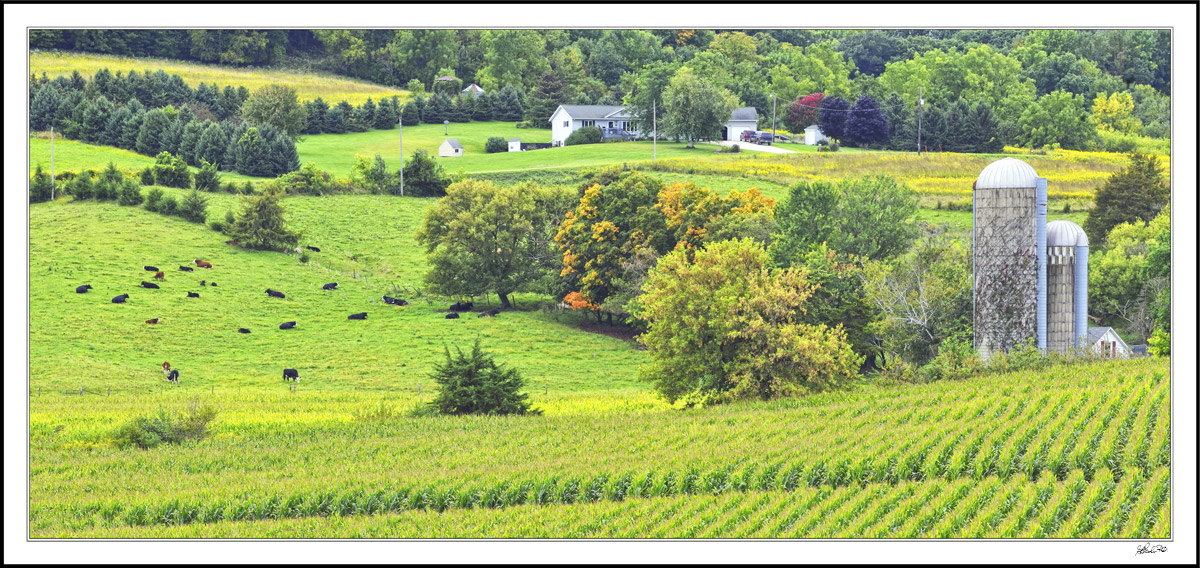 Late Summer Crop Vista II