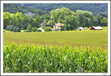 Tuscany In Flyover Country