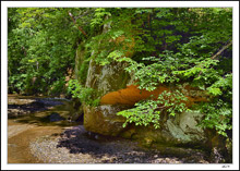 Colorful Reflections On Pea's Creek