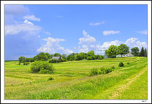 Windblown Fields