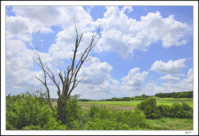 Sky Snag