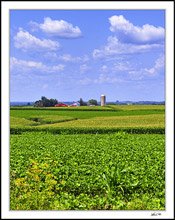 Farmland Variety