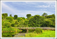 Rustic Bridge Trail