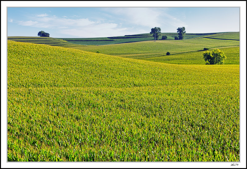 Folded Fields