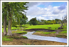 Wandering Stream, Pastoral Scene