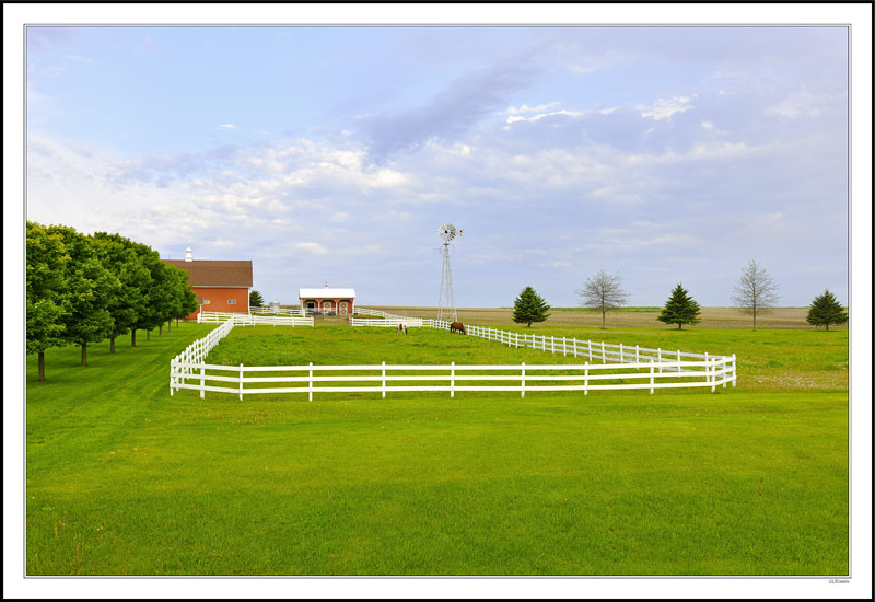 Picture Perfect Pasture