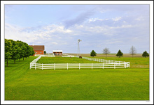 Picture Perfect Pasture