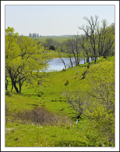 Pasture Land Comes to Life II