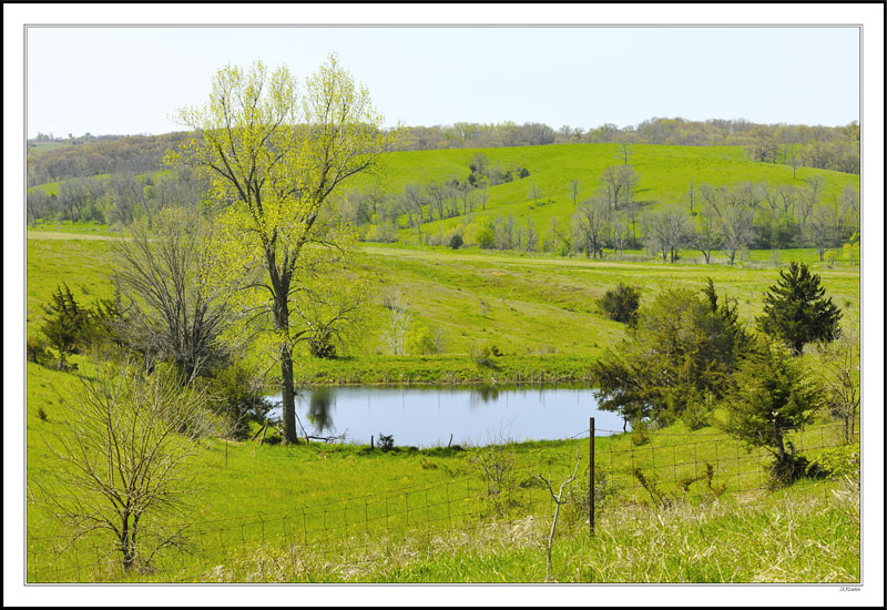 Pasture Land Comes to Life III