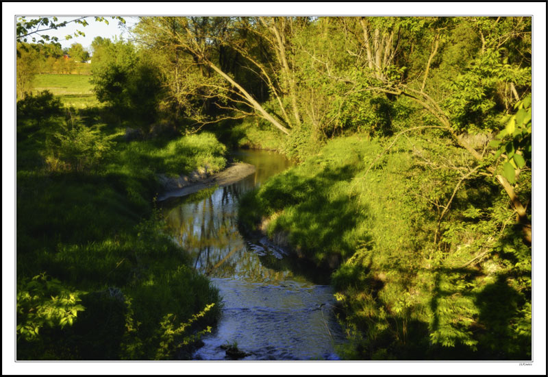 Palpable Textures of Sun & Shade