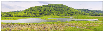 Wetland Among Rolling Hills