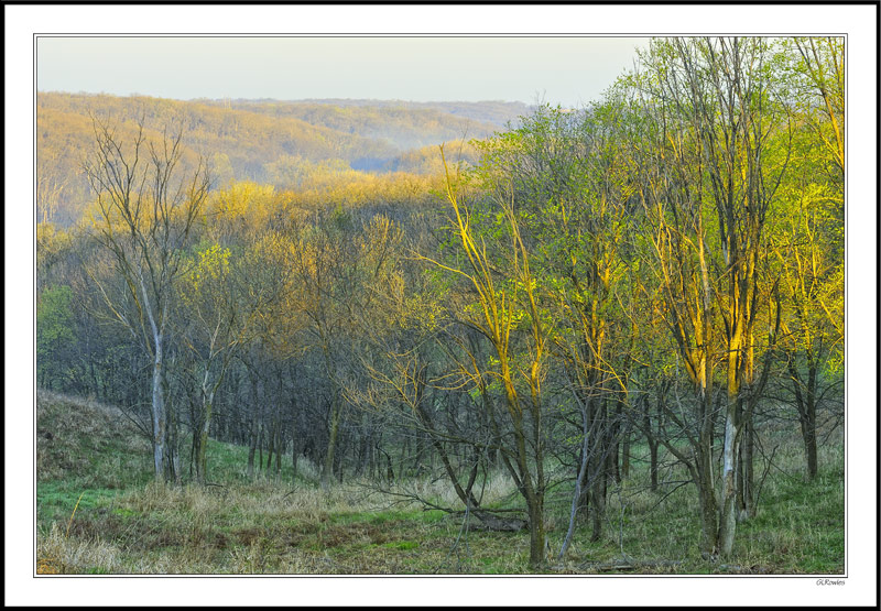 Springbrook Mountains