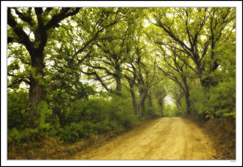 Fountainbleau Road