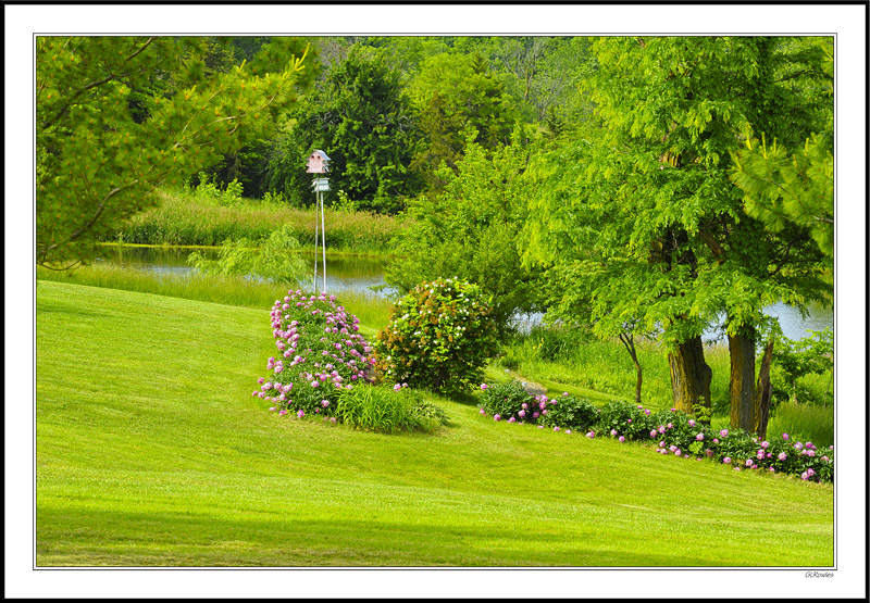 Peony Pond