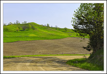 Nature's Pyramind