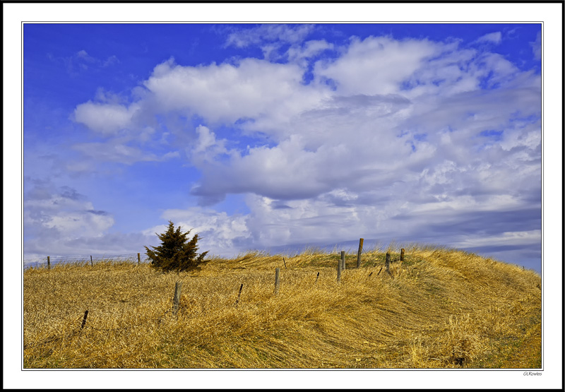 Windswept & Snowmatted