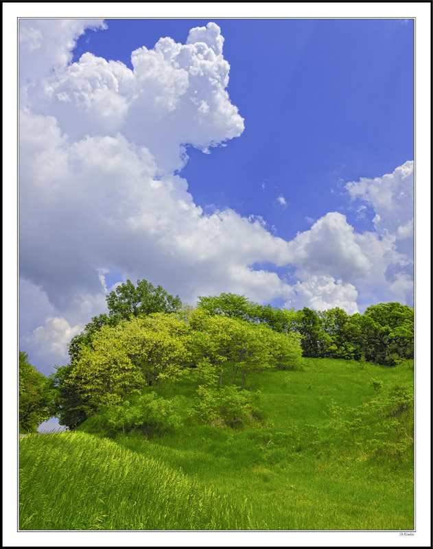 Galloping Cumulus Cloud