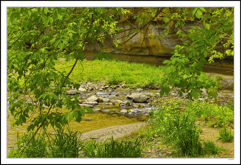 Gurgling Creek Turns At The Bluff