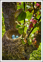 Colorful Nursery I