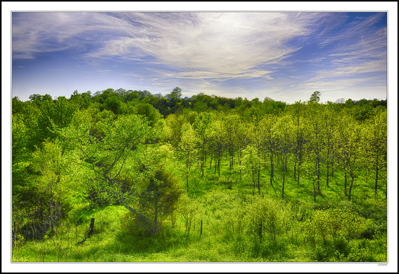 Spring Afternoon Glow