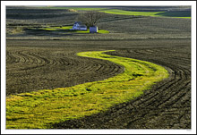 Feng Shui Farmstead