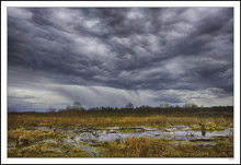 Approaching Storm