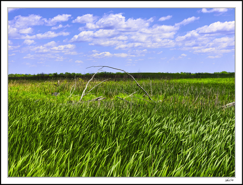 Wetlands Gateway