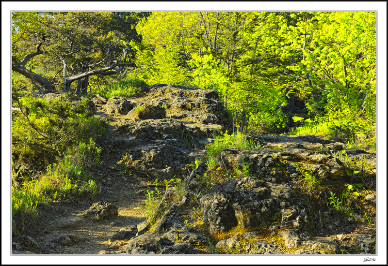 Rugged Path I